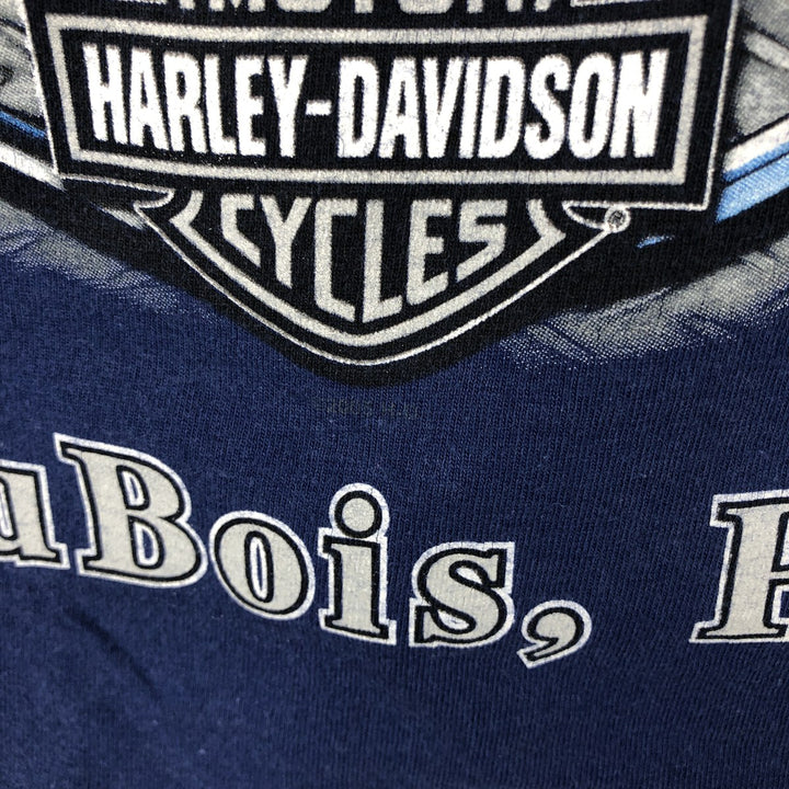 Harley-Davidson Eagle Pattern Stars and Stripes Motorcycle T-Shirt, Made in USA, Men's Size Large cotton blue type Vintage Second Hand