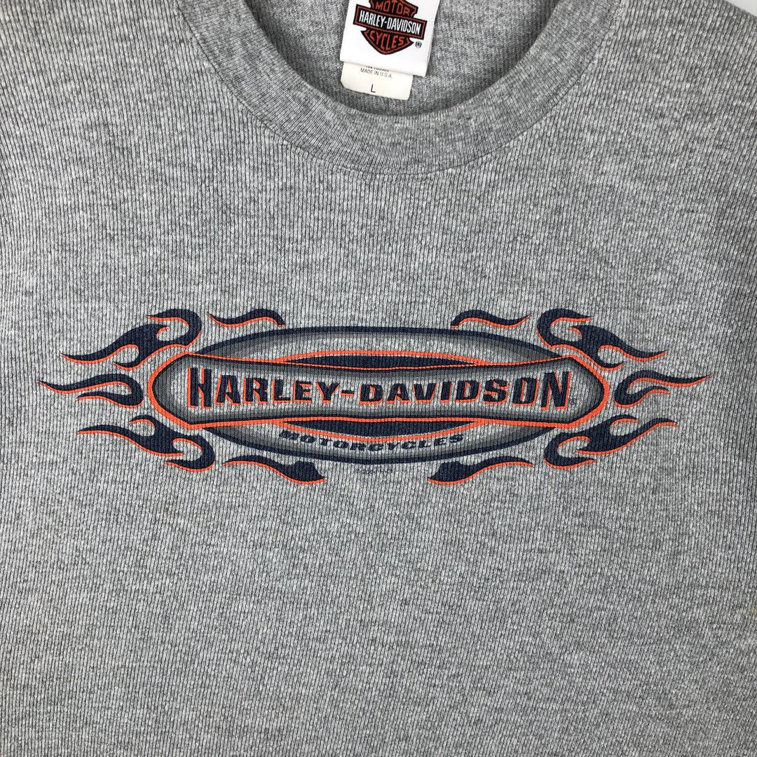2000'S Harley-Davidson Sleeveless Fire Pattern Motorcycle T-Shirt, Made in USA, Men's Size L cotton gray type Vintage Second Hand