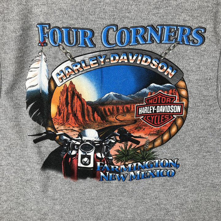 2000'S Harley-Davidson Sleeveless Fire Pattern Motorcycle T-Shirt, Made in USA, Men's Size L cotton gray type Vintage Second Hand
