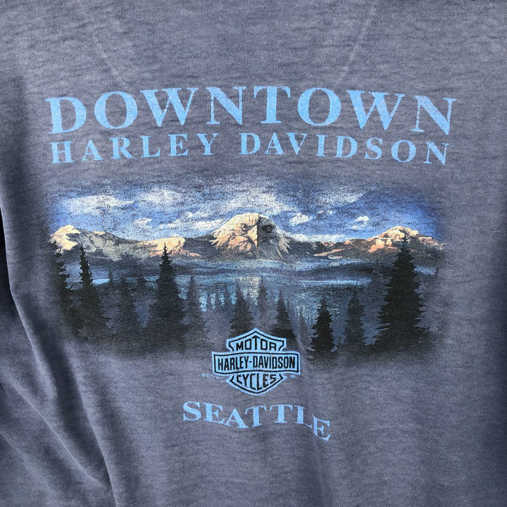 00'S Harley-Davidson Eagle Pattern Motorcycle Bike T-shirt Men's XXL cotton Navy blue Vintage Second Hand