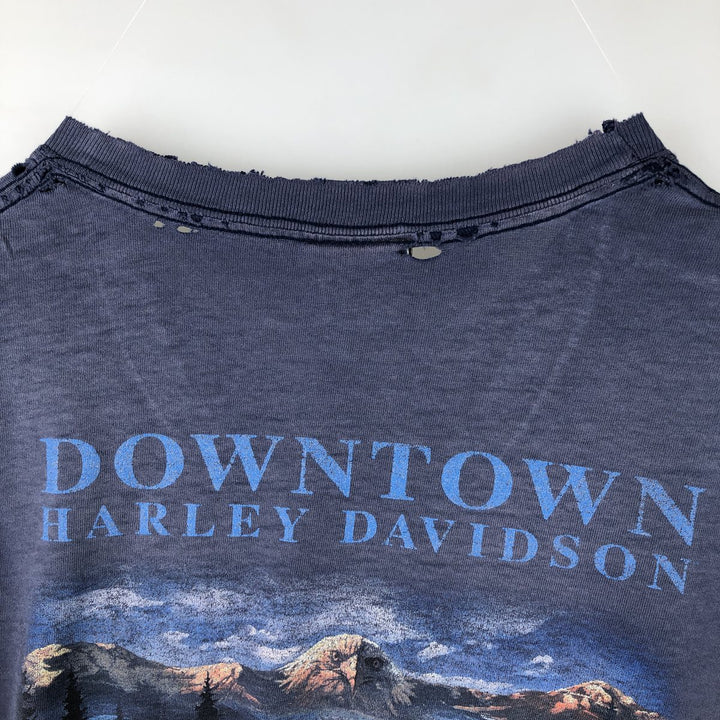 00'S Harley-Davidson Eagle Pattern Motorcycle Bike T-shirt Men's XXL cotton Navy blue Vintage Second Hand