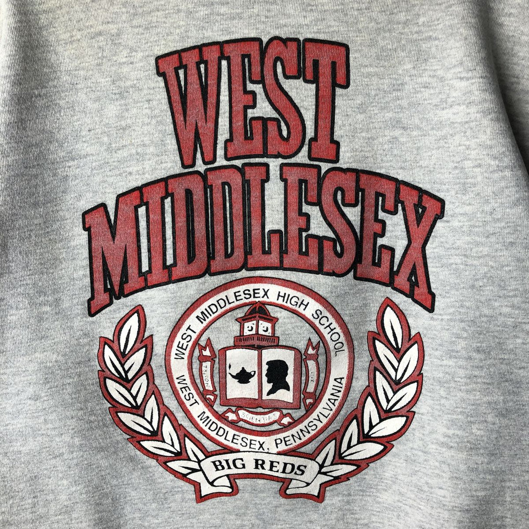 Vintage college sweatshirt, size L, men's unclear gray type Vintage Second Hand