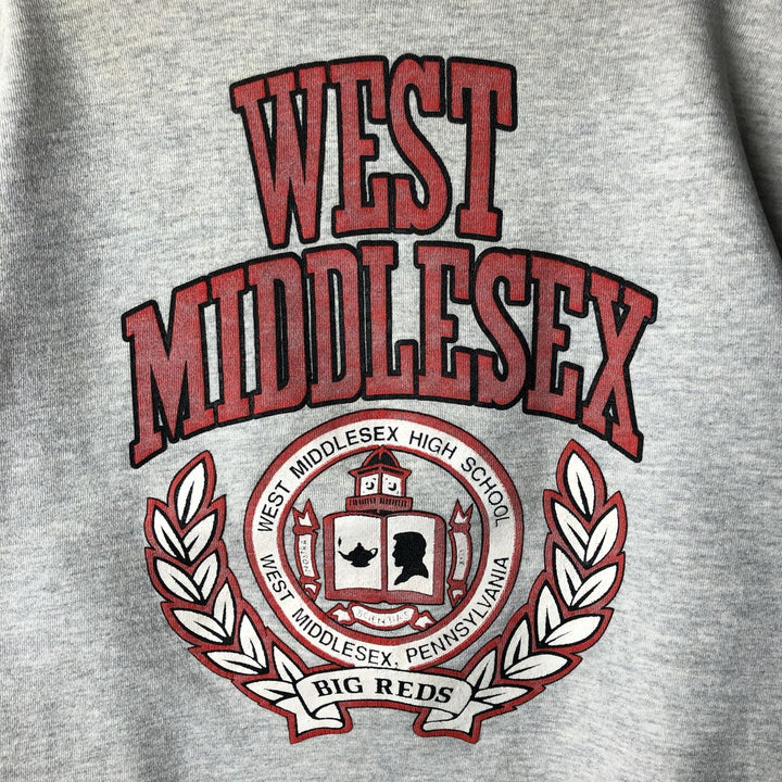 Vintage college sweatshirt, size L, men's unclear gray type Vintage Second Hand