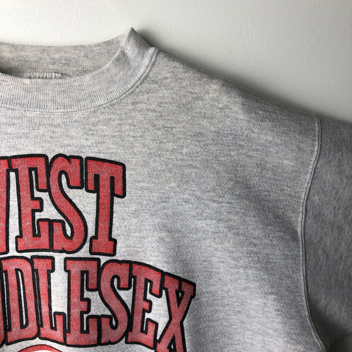 Vintage college sweatshirt, size L, men's unclear gray type Vintage Second Hand
