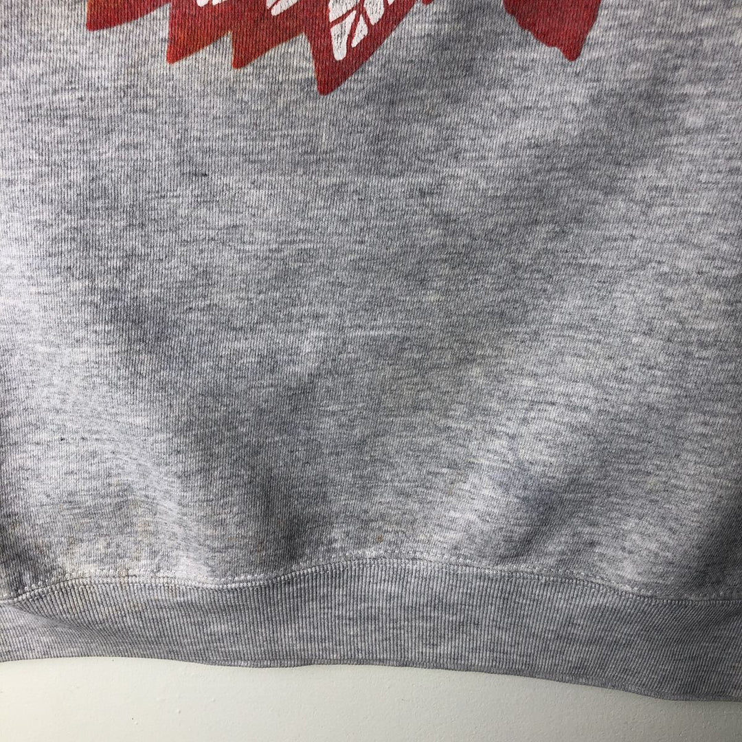 Vintage college sweatshirt, size L, men's unclear gray type Vintage Second Hand