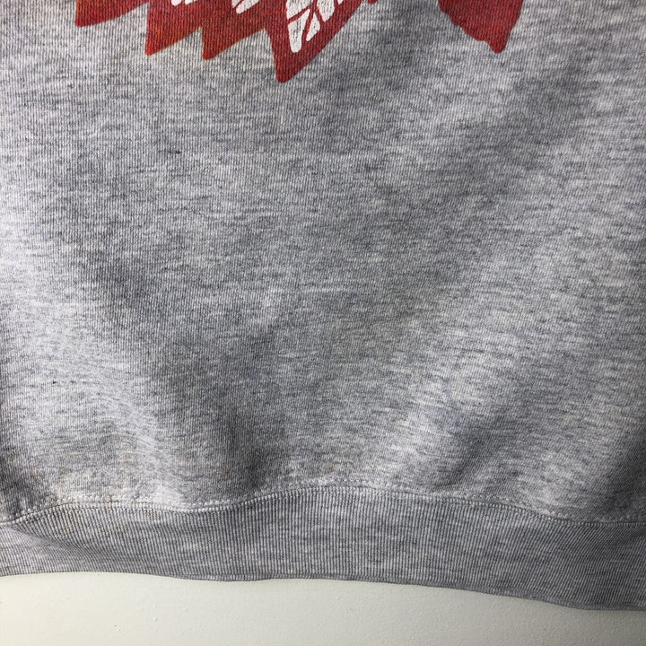 Vintage college sweatshirt, size L, men's unclear gray type Vintage Second Hand