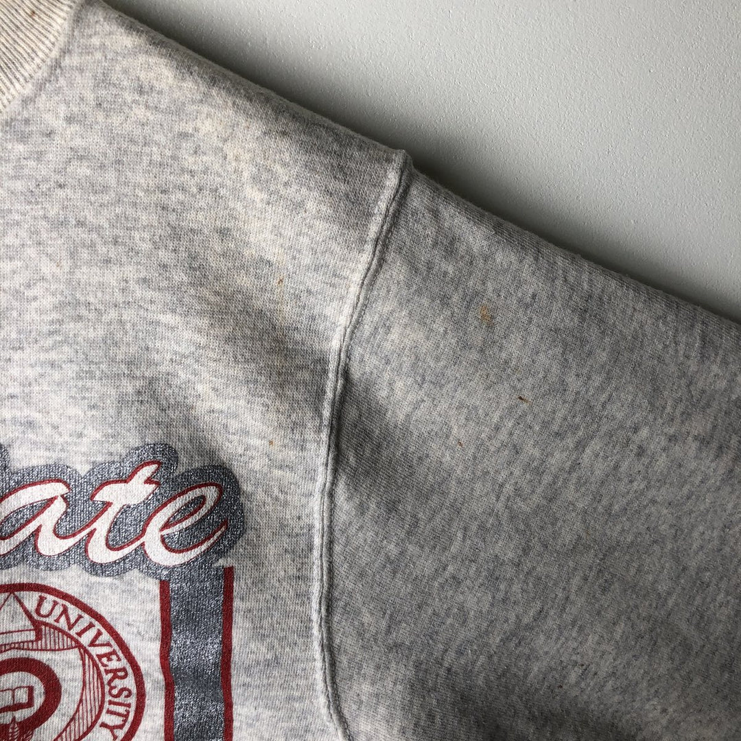Vintage 90'S Famous SPORTSWEAR college sweatshirt, made in the USA, size L, men's cotton pale white type Vintage Second Hand