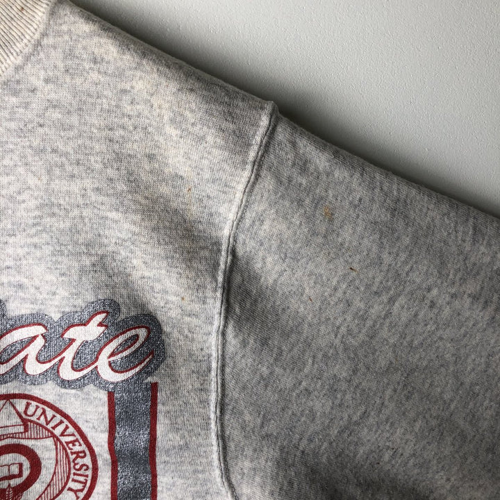 Vintage 90'S Famous SPORTSWEAR college sweatshirt, made in the USA, size L, men's cotton pale white type Vintage Second Hand