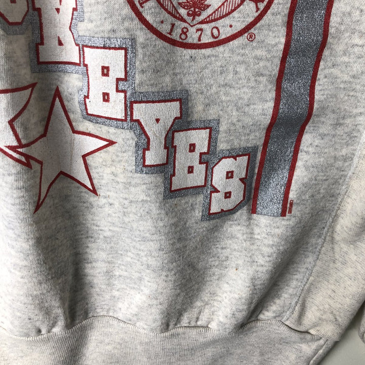 Vintage 90'S Famous SPORTSWEAR college sweatshirt, made in the USA, size L, men's cotton pale white type Vintage Second Hand