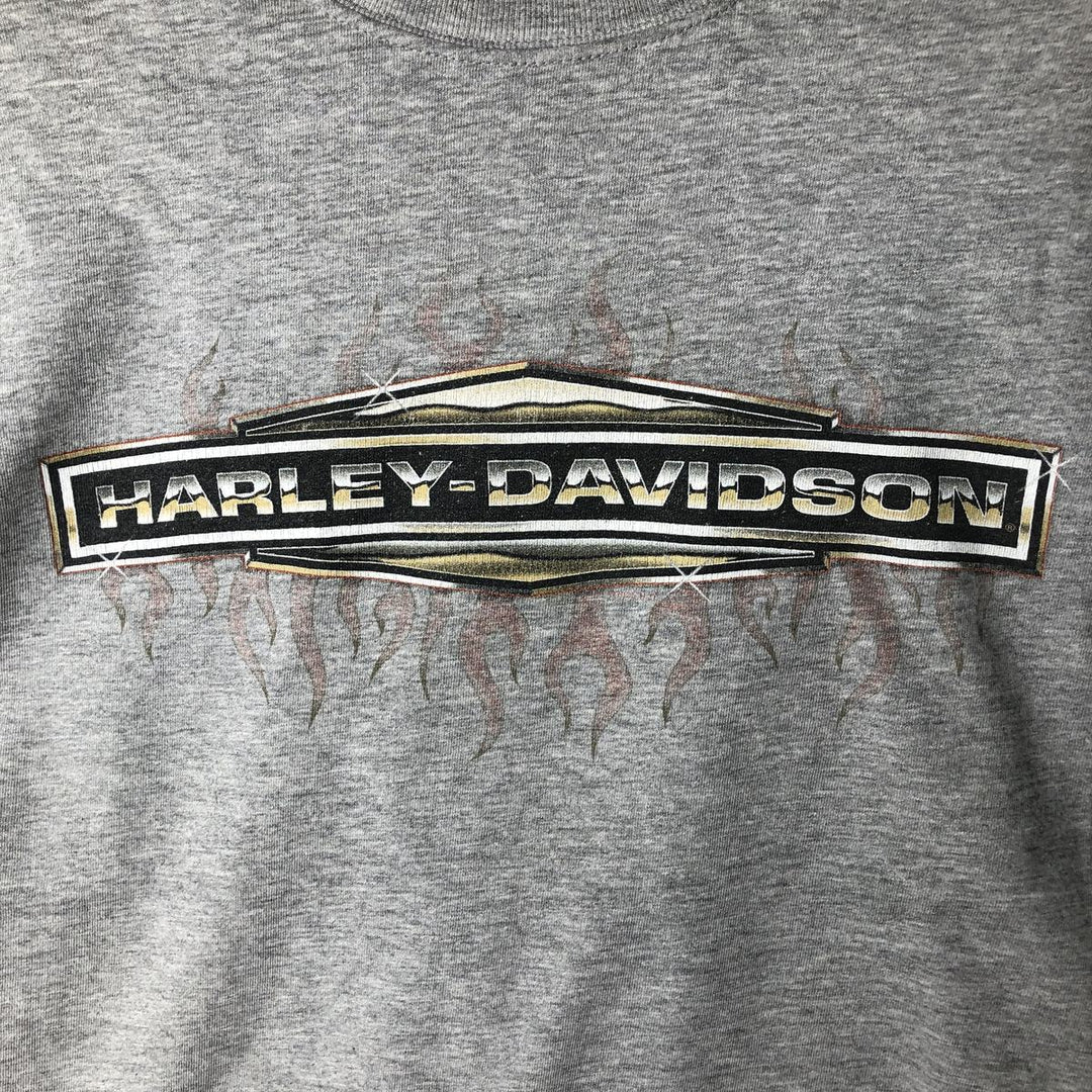2000'S Harley-Davidson Fire Pattern Motorcycle Long Sleeve T-Shirt, Made in USA, Men's Size L cotton gray type Vintage Second Hand