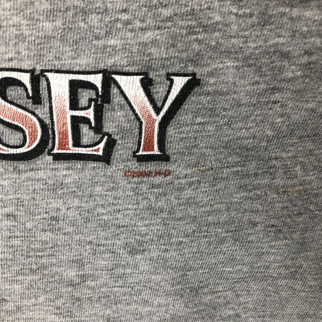 2000'S Harley-Davidson Fire Pattern Motorcycle Long Sleeve T-Shirt, Made in USA, Men's Size L cotton gray type Vintage Second Hand