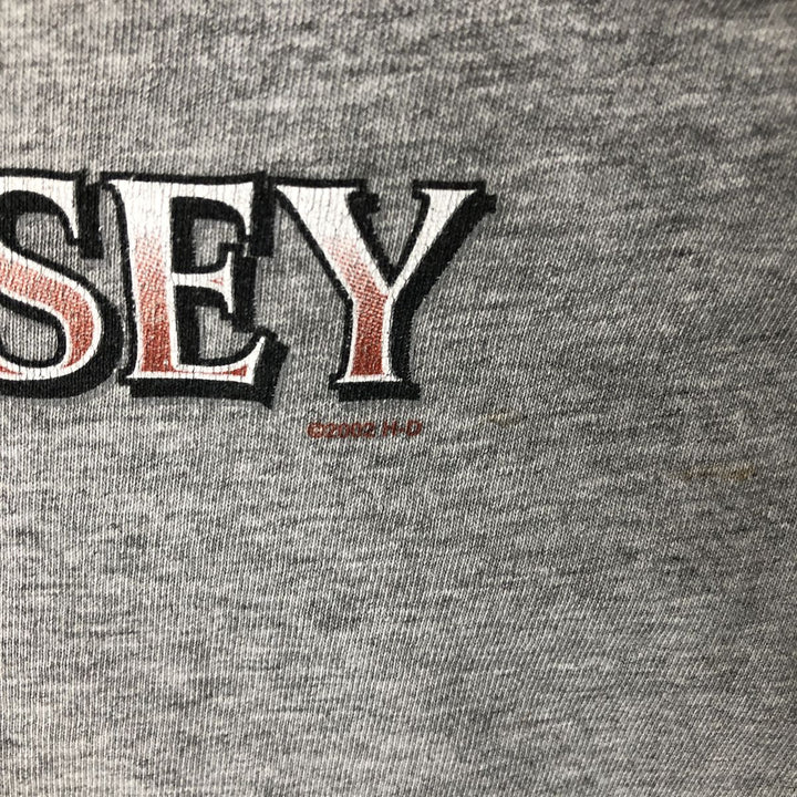 2000'S Harley-Davidson Fire Pattern Motorcycle Long Sleeve T-Shirt, Made in USA, Men's Size L cotton gray type Vintage Second Hand