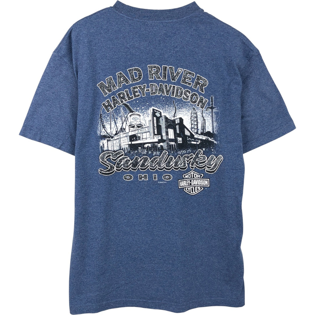 Harley-Davidson Eagle Pattern Motorcycle Bike T-shirt Men's L size cotton Blue type light blue Vintage Second Hand