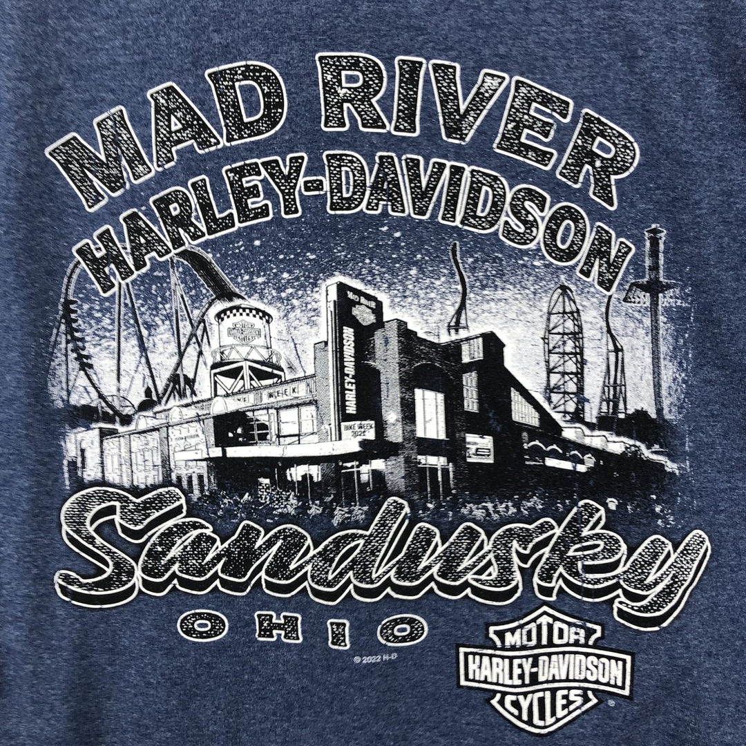 Harley-Davidson Eagle Pattern Motorcycle Bike T-shirt Men's L size cotton Blue type light blue Vintage Second Hand