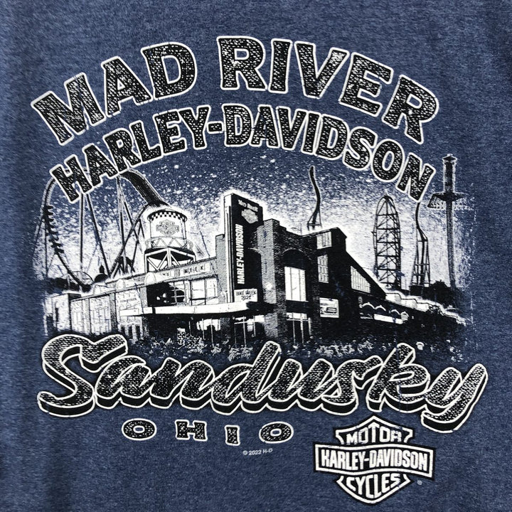 Harley-Davidson Eagle Pattern Motorcycle Bike T-shirt Men's L size cotton Blue type light blue Vintage Second Hand