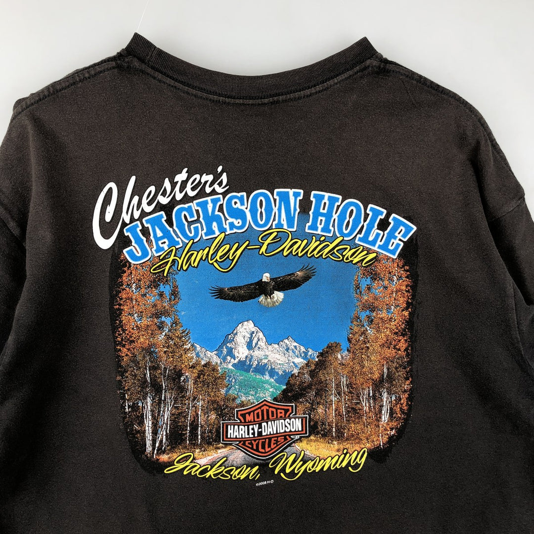 Harley-Davidson Eagle Pattern Motorcycle Bike T-shirt Men's XL cotton brown type Vintage Second Hand