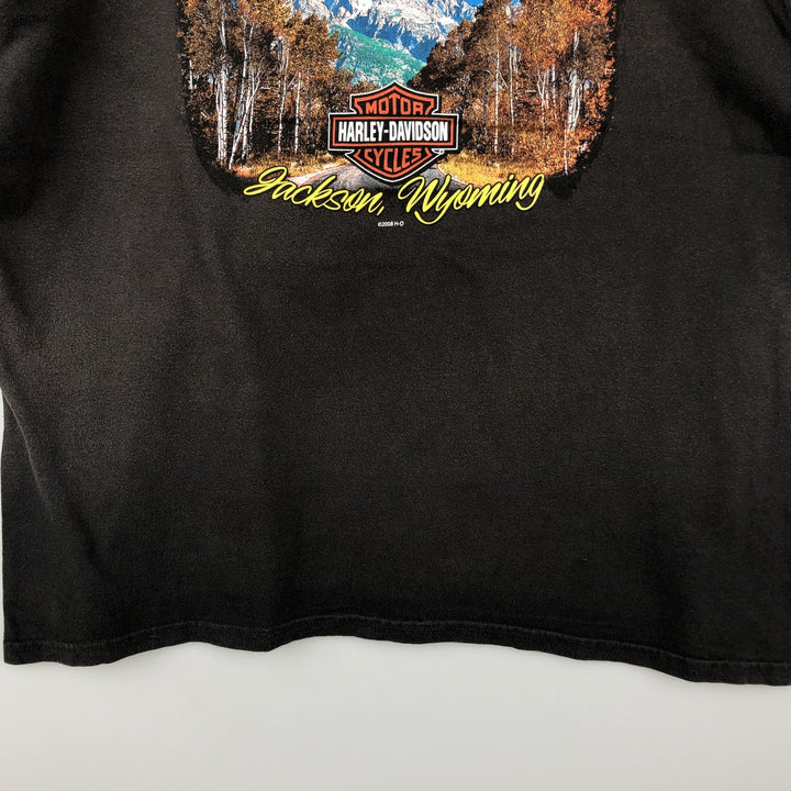Harley-Davidson Eagle Pattern Motorcycle Bike T-shirt Men's XL cotton brown type Vintage Second Hand