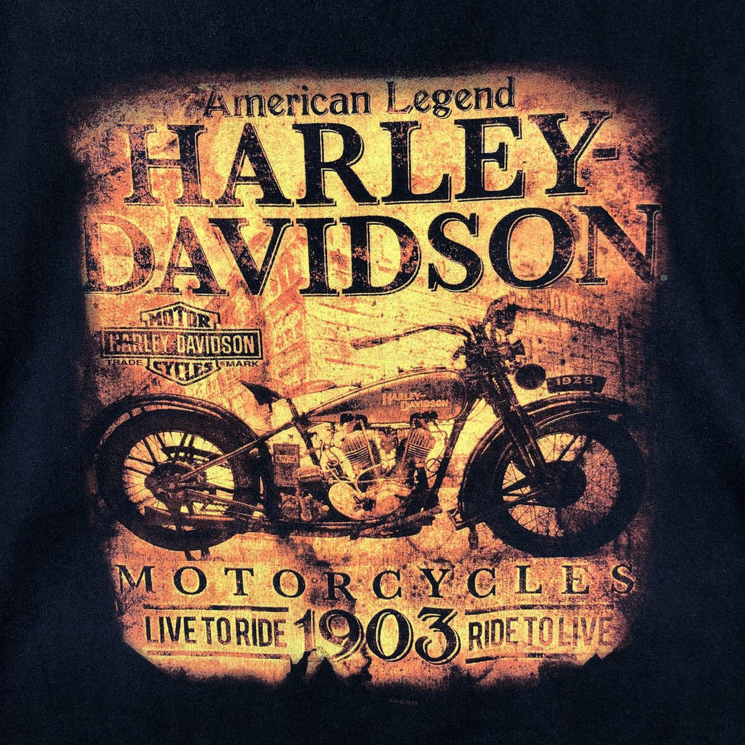 Harley-Davidson Motorcycle Bike T-shirt, Men's XXL cotton black type Vintage Second Hand