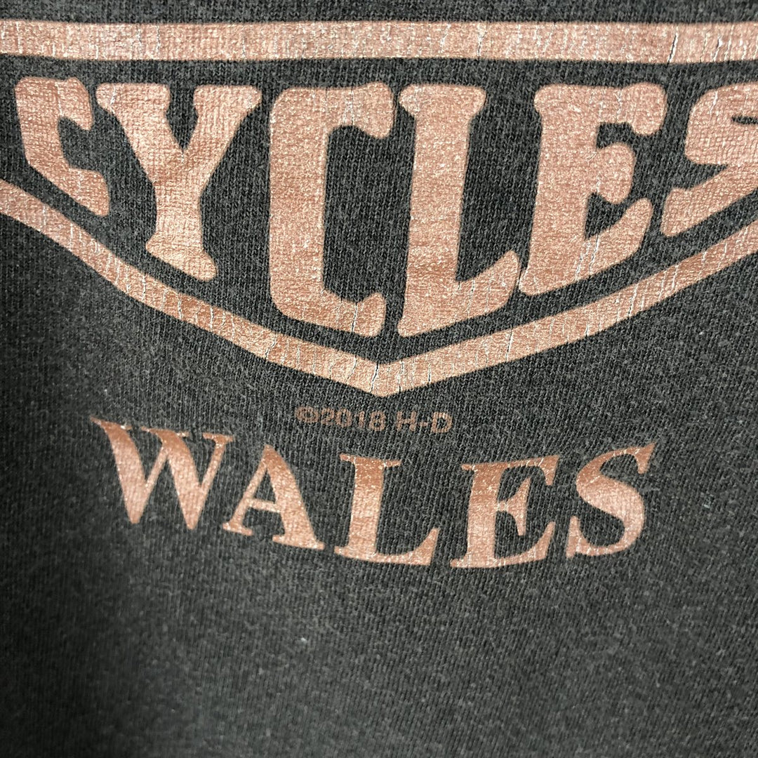 Harley-Davidson Motorcycle Bike T-shirt, Men's XL size cotton black type Vintage Second Hand