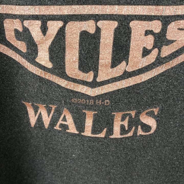Harley-Davidson Motorcycle Bike T-shirt, Men's XL size cotton black type Vintage Second Hand