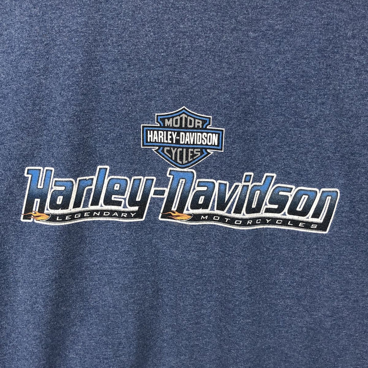 Harley-Davidson Animal Pattern Motorcycle Bike T-shirt Men's XL unclear Blue type light blue Vintage Second Hand