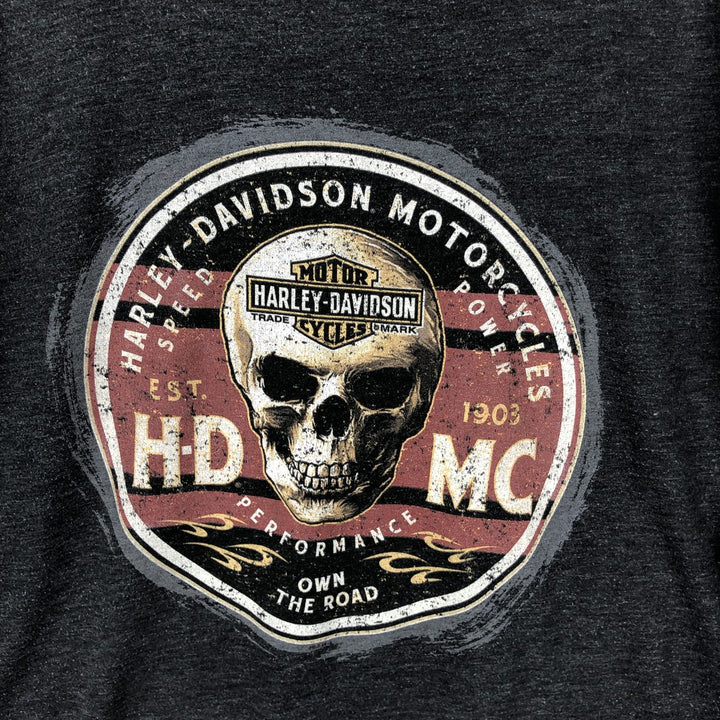 Harley-Davidson Skull Pattern Motorcycle Bike T-shirt Men's XL cotton Charcoal Vintage Second Hand
