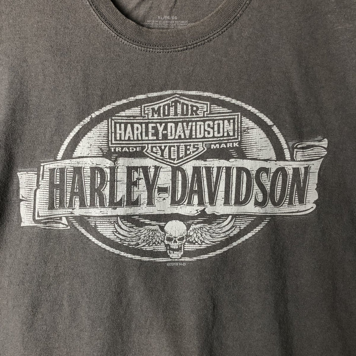 Harley-Davidson Skull Wing Motorcycle T-Shirt, Men's XL unclear gray type Vintage Second Hand