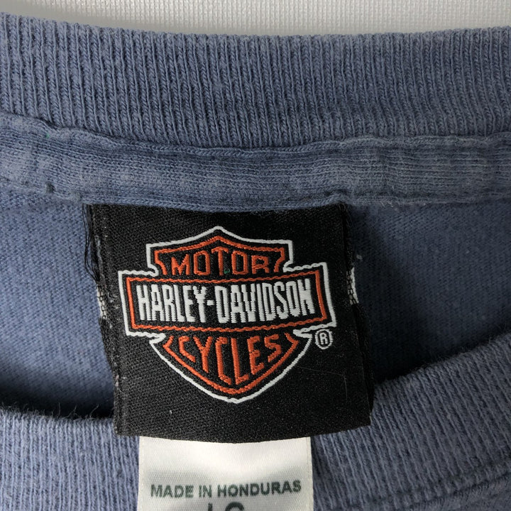 Harley-Davidson Eagle Pattern Motorcycle Bike T-shirt Men's L size cotton Blue type light blue Vintage Second Hand