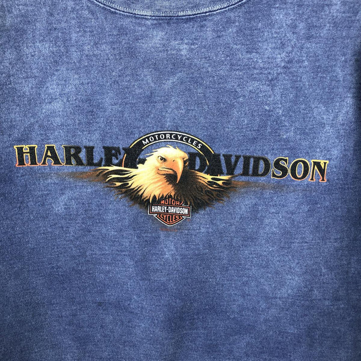 2000'S Harley-Davidson Eagle Pattern Advertising Sweatshirt, Made in USA, Men's Size Medium unclear blue type Vintage Second Hand