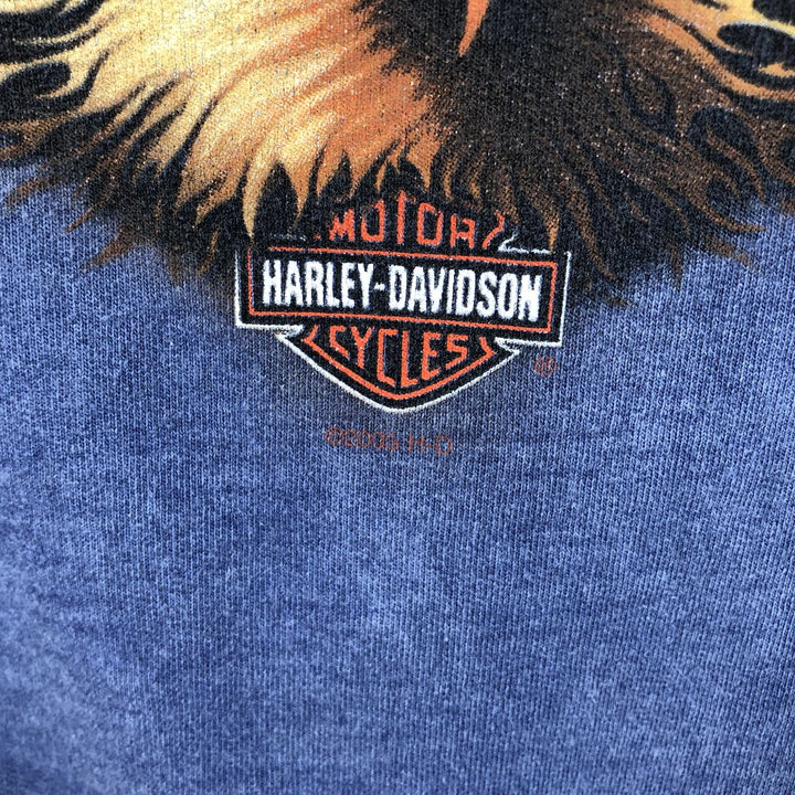 2000'S Harley-Davidson Eagle Pattern Advertising Sweatshirt, Made in USA, Men's Size Medium unclear blue type Vintage Second Hand