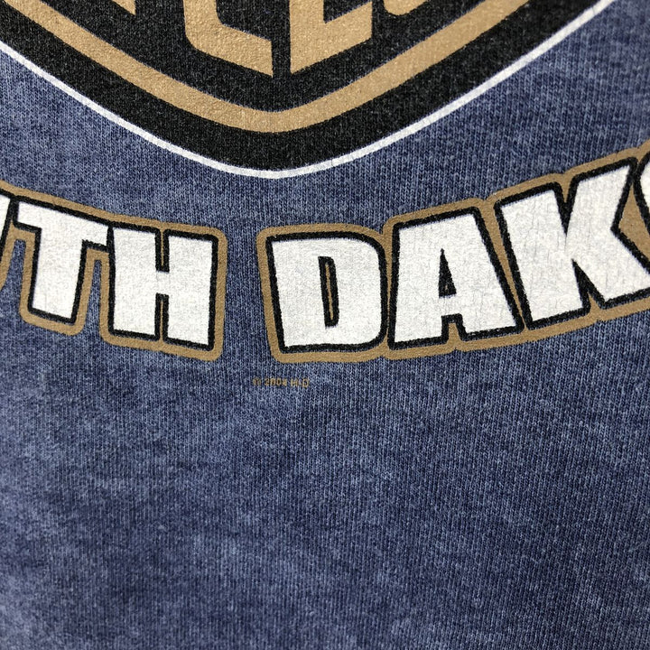 2000'S Harley-Davidson Eagle Pattern Advertising Sweatshirt, Made in USA, Men's Size Medium unclear blue type Vintage Second Hand