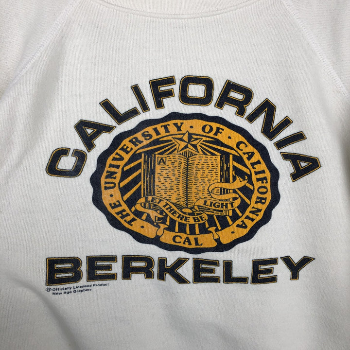Vintage 1980'S Hanes blue tag triple print college sweatshirt, made in the USA, men's size XL cotton white type Vintage Second Hand