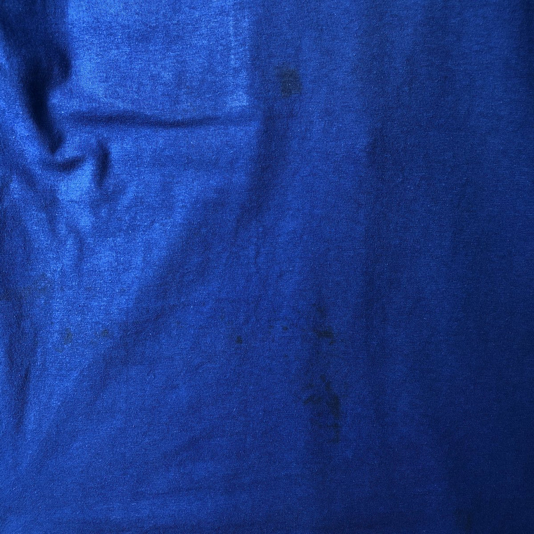 Vintage 1980'S Hanes BEEFY-T Printed T-Shirt, Made in USA, Men's Size Large cotton blue type Vintage Second Hand