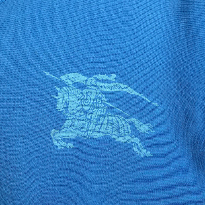 Burberry's BRIT Logo Sweatshirt (Men's Size L) cotton Blue type light blue Vintage Second Hand