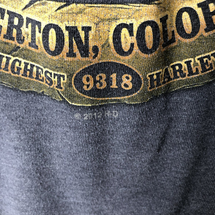Harley-Davidson Long-Sleeve T-Shirt, Size 2X-LARGE (equivalent to Men's XXL) cotton gray type Vintage Second Hand