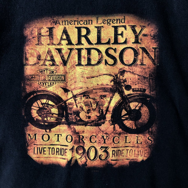 Harley-Davidson Motorcycle Bike T-shirt, Men's XL size cotton black type Vintage Second Hand