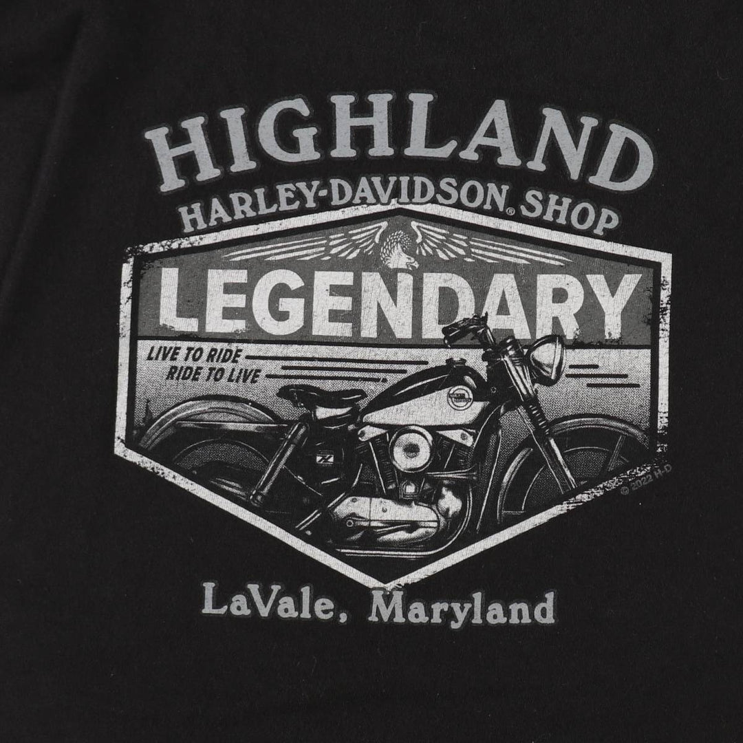 Harley-Davidson Eagle Pattern Motorcycle Bike T-shirt Men's XL cotton black type Vintage Second Hand