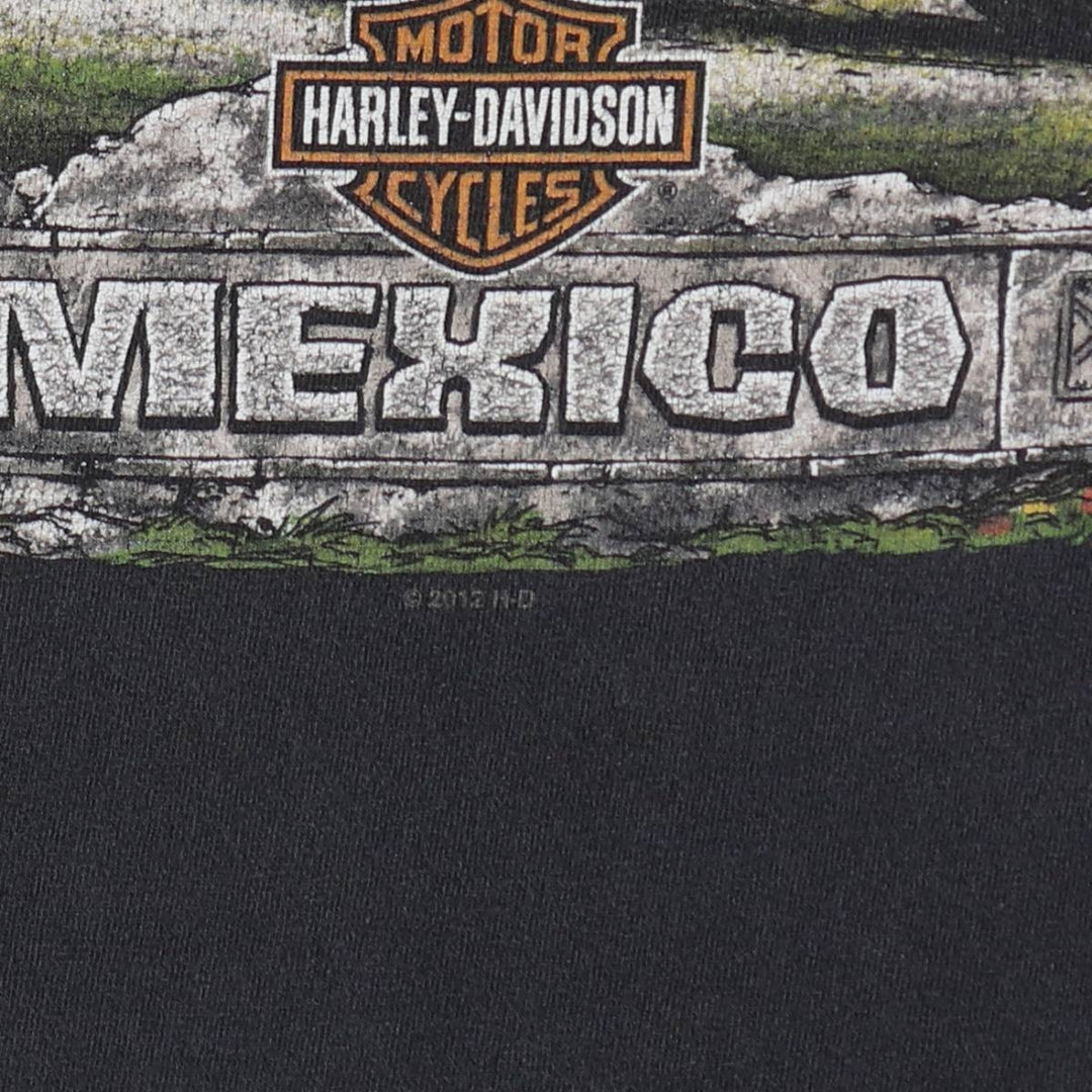Harley-Davidson Iguana Pattern Motorcycle T-Shirt, Men's Size M (approx.) unclear black type Vintage Second Hand