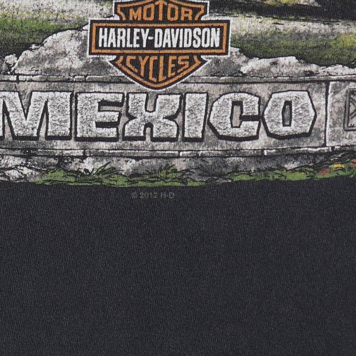 Harley-Davidson Iguana Pattern Motorcycle T-Shirt, Men's Size M (approx.) unclear black type Vintage Second Hand