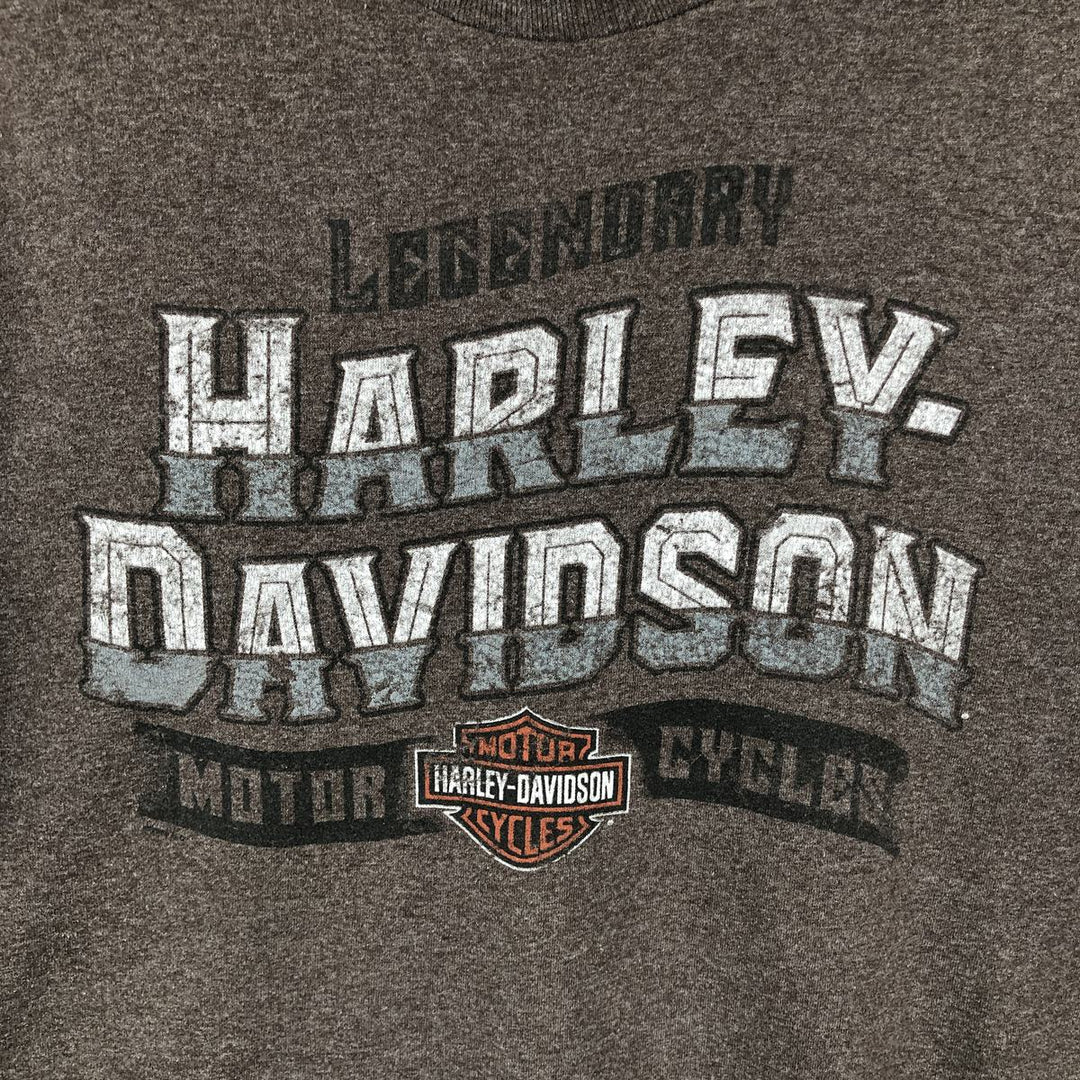 Harley-Davidson Motorcycle Bike T-shirt, Men's XL size cotton brown type Vintage Second Hand