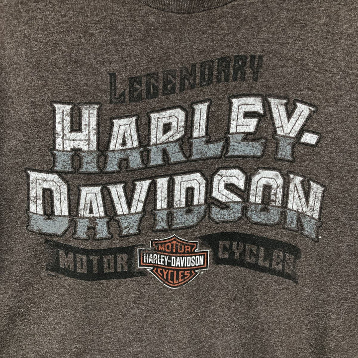 Harley-Davidson Motorcycle Bike T-shirt, Men's XL size cotton brown type Vintage Second Hand