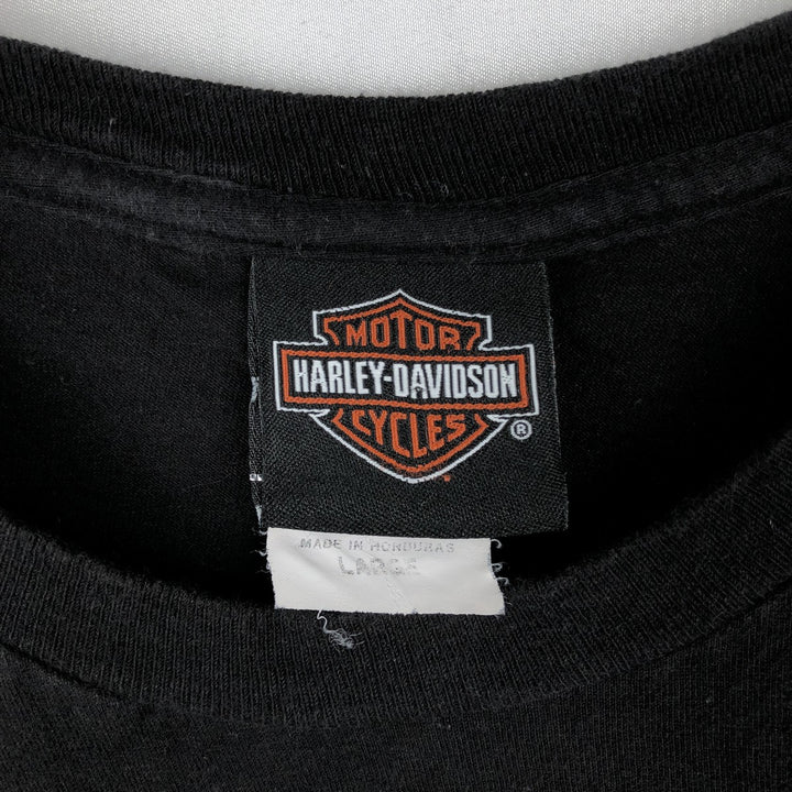 Harley-Davidson Skull Pattern Skull Wing Motorcycle Bike T-shirt Men's L size cotton black type Vintage Second Hand