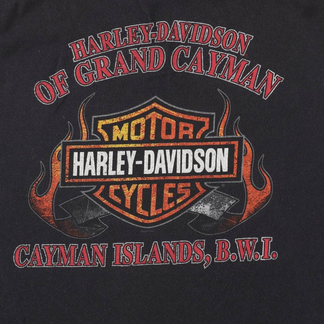 Harley-Davidson Fire Pattern Snake Print Skull Wing Motorcycle Bike T-Shirt, Men's Size XL (approx.) cotton black type Vintage Second Hand