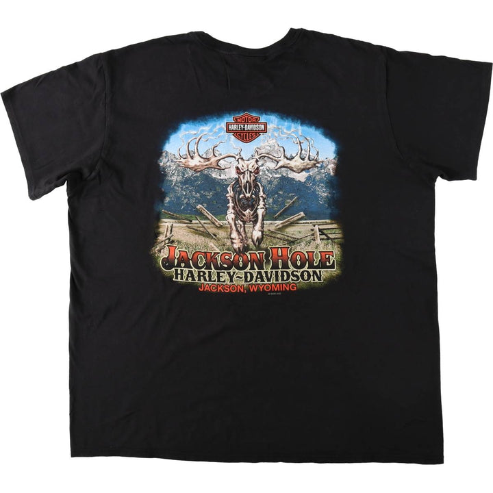 Harley-Davidson Skull Pattern Motorcycle Bike T-shirt Men's XL cotton black type Vintage Second Hand