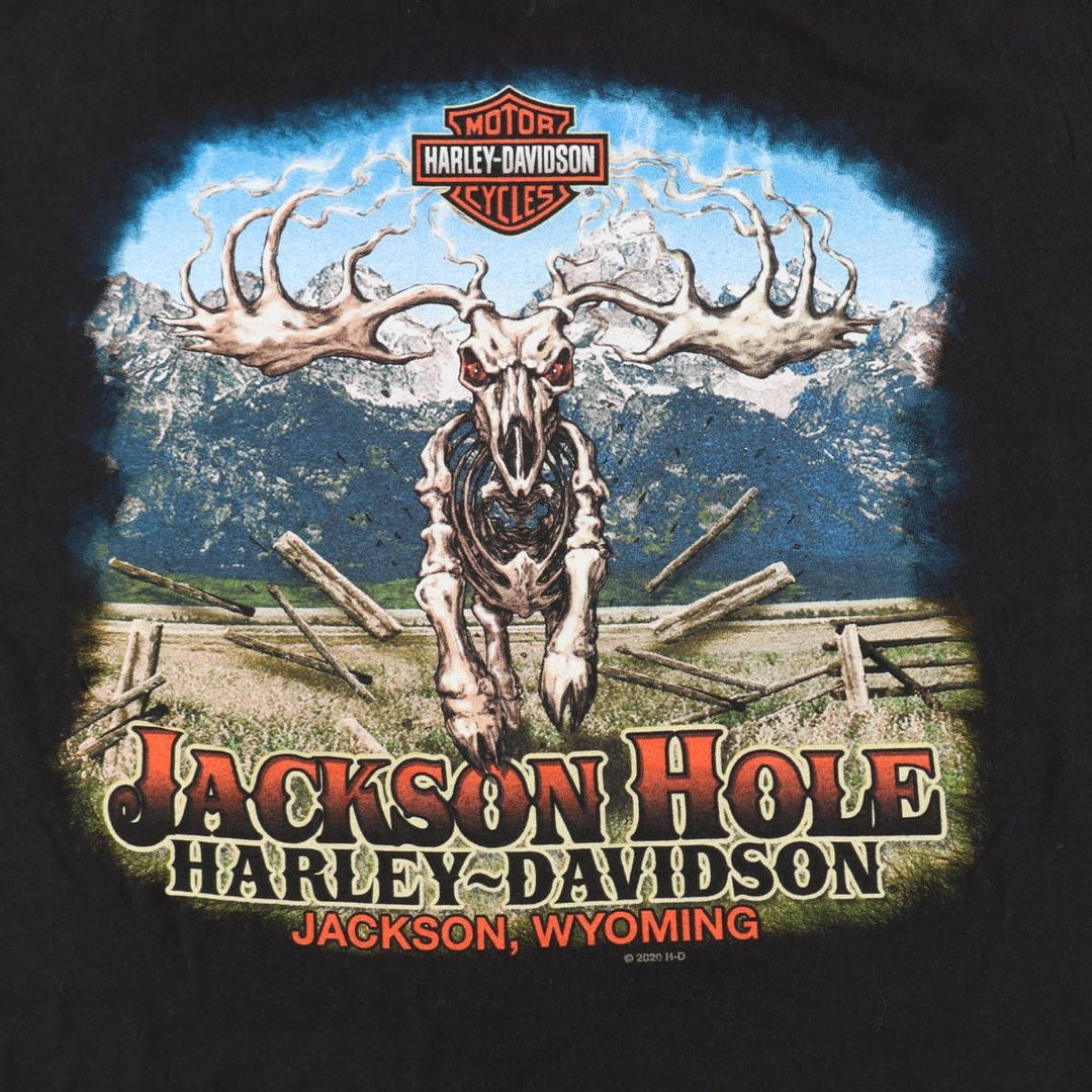 Harley-Davidson Skull Pattern Motorcycle Bike T-shirt Men's XL cotton black type Vintage Second Hand