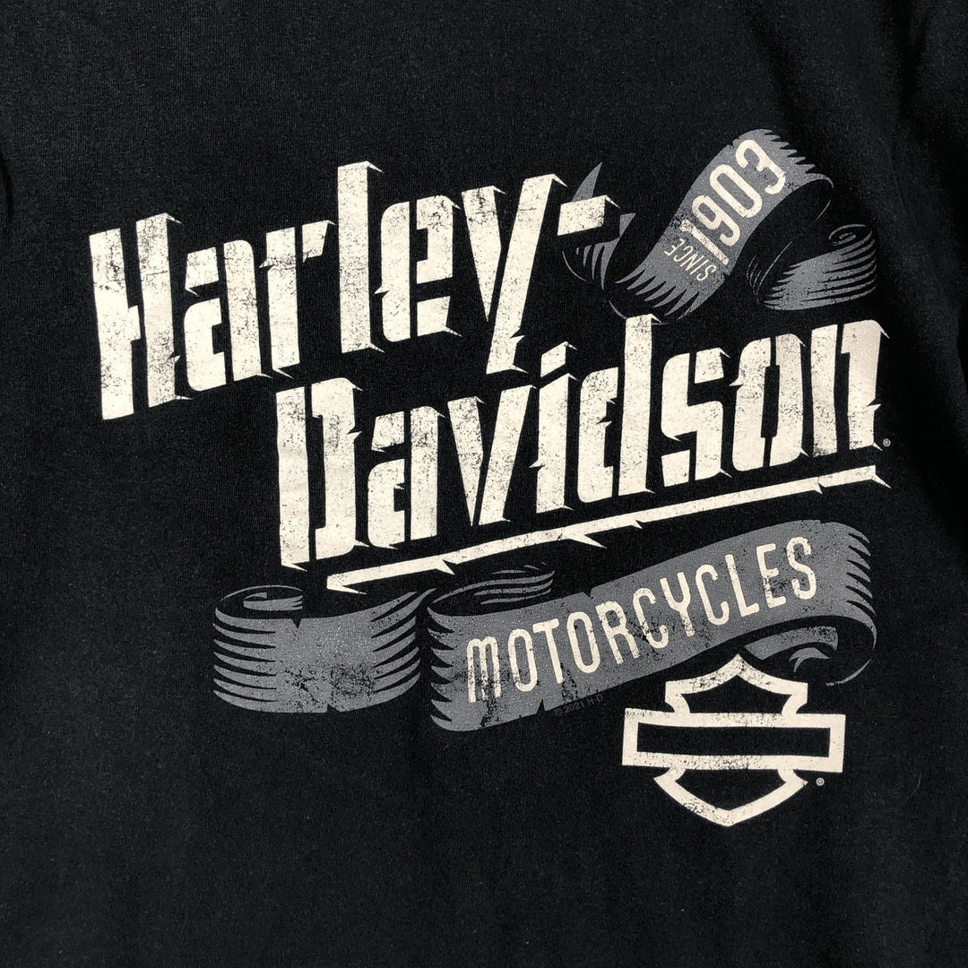 Harley-Davidson Motorcycle Bike T-shirt, Men's Size L cotton black type Vintage Second Hand