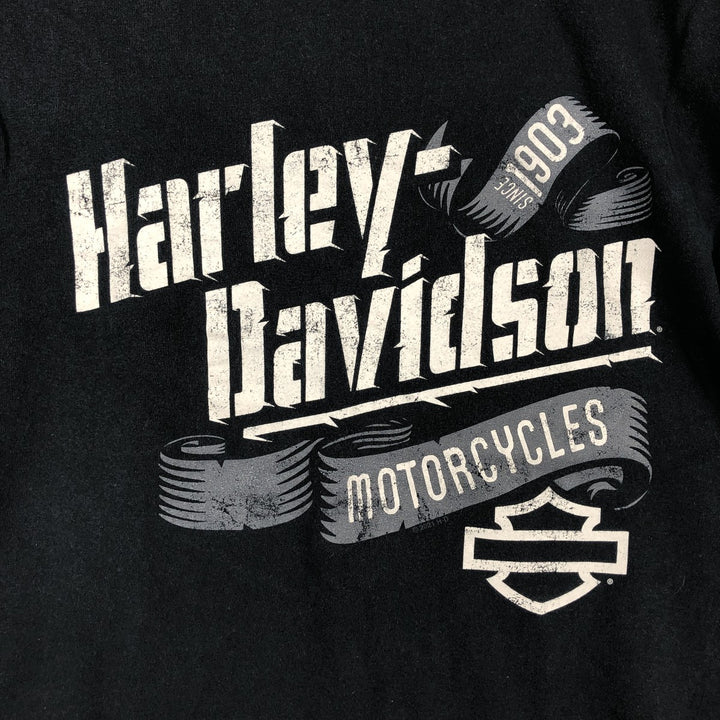 Harley-Davidson Motorcycle Bike T-shirt, Men's Size L cotton black type Vintage Second Hand