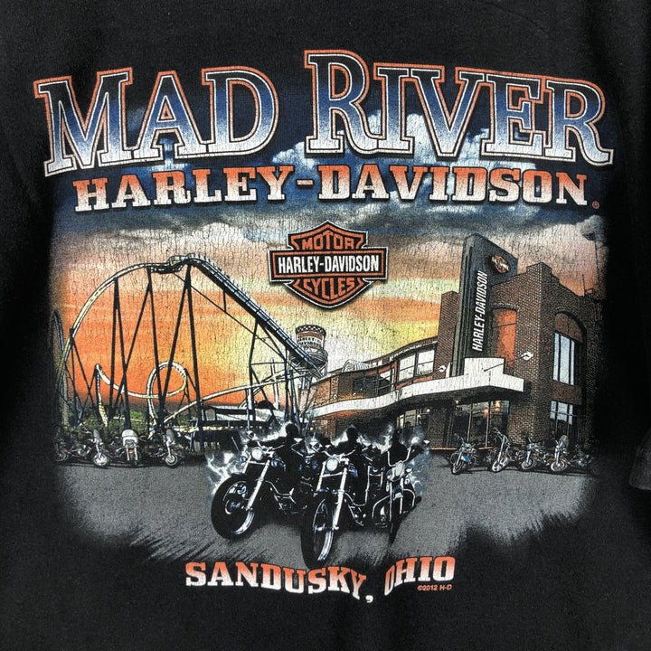 Harley-Davidson Motorcycle Bike T-shirt, Men's XL size cotton black type Vintage Second Hand
