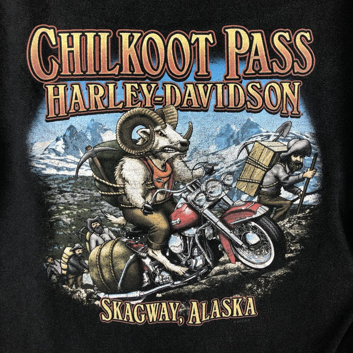 Harley-Davidson Motorcycle Bike T-shirt, Men's Medium unclear black type Vintage Second Hand