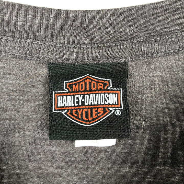 Harley-Davidson Skull Pattern Motorcycle Bike T-shirt Men's XL cotton gray type Vintage Second Hand